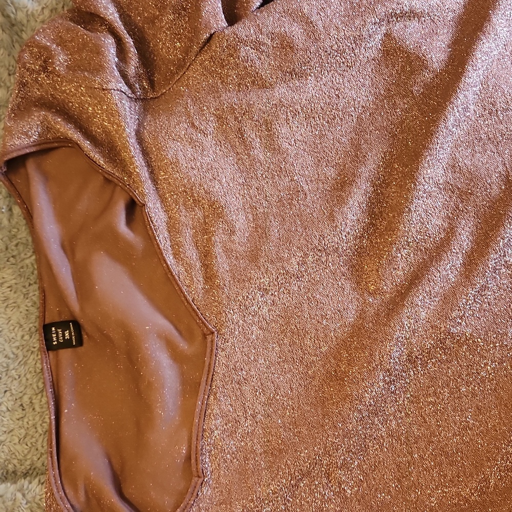 Taupe and silver glitter top